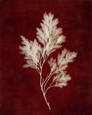 Heritage Botanical Print, Moody Winter Artwork, Gallery Wall Decor