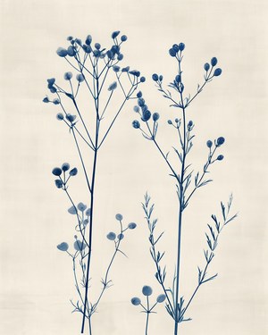 Botanical Vintage Art, French Country Home Decor, Nursery Wall Printable