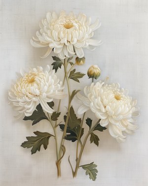 November Birth Flower: Chrysanthemum, Vintage Botanical Art, Nursery Decor